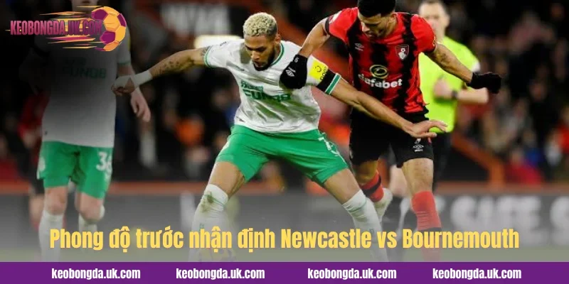 Phong độ trước nhận định Newcastle vs Bournemouth